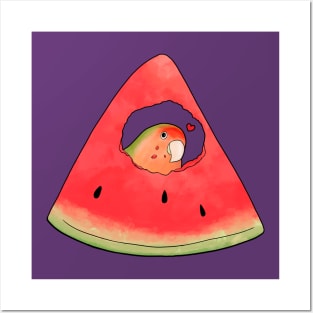 Lovebird peek-a-boo with watermelon Posters and Art